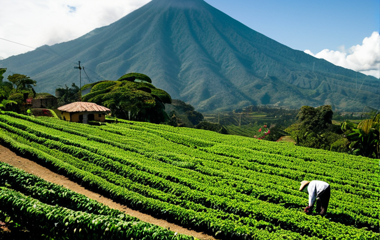 커피 원산지 탐방을 통한 문화 교류 - Antigua, Guatemala Coffee Farm**

"A lush, green coffee farm in Antigua, Guatemala, surrounded by vo...